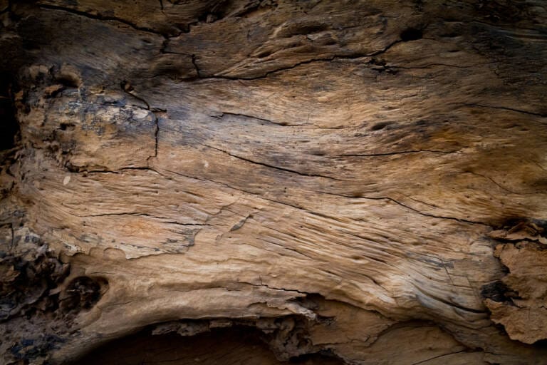 Wood Hardness Ratings: Choosing the Most Durable Wood Flooring