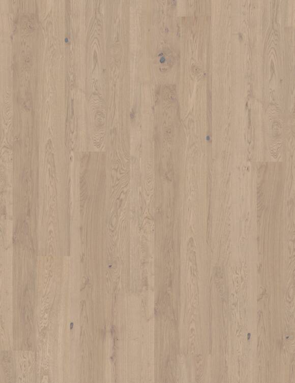 Oak coast wood flooring