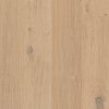 oak brighton