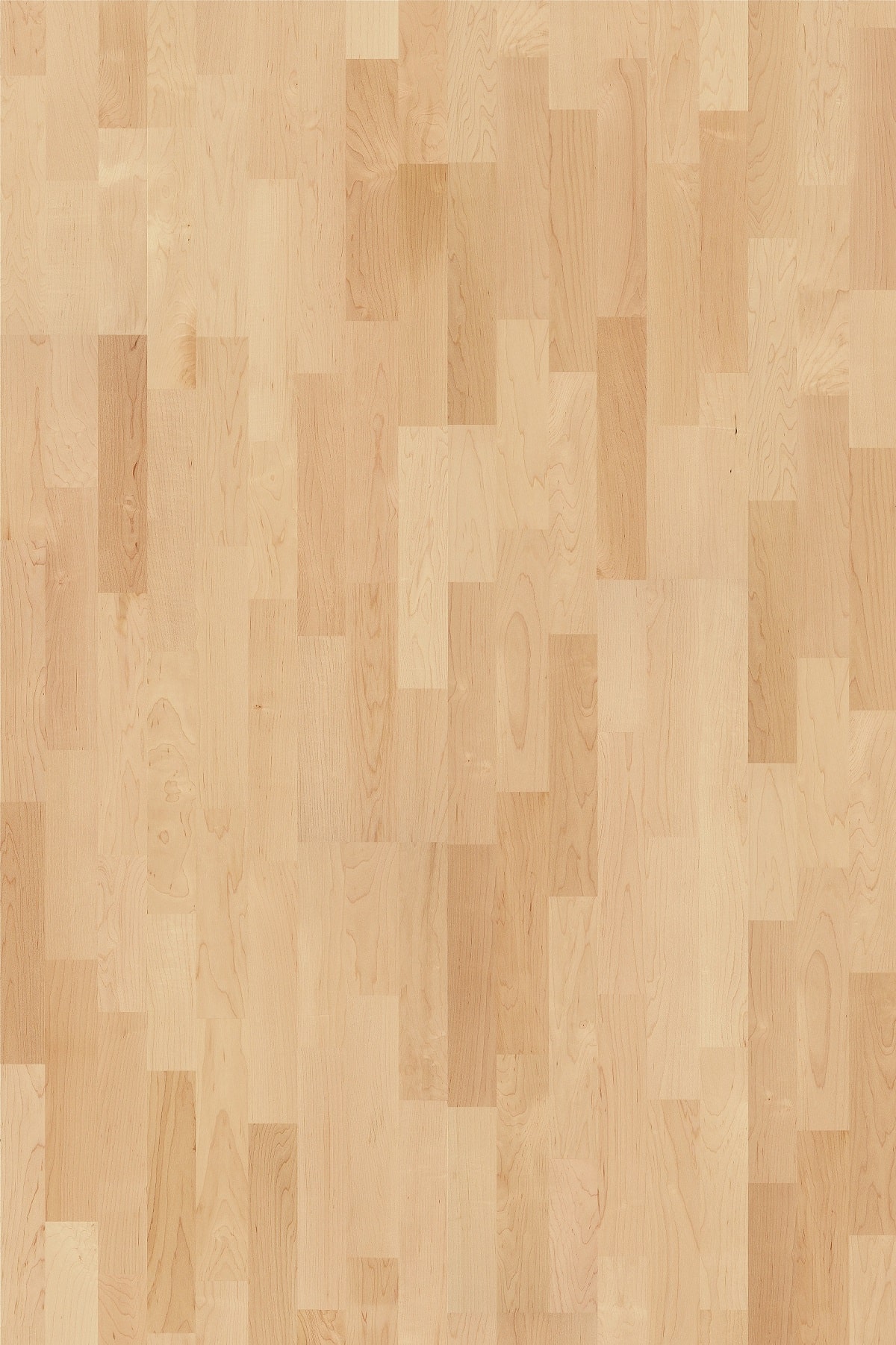 Buy HARD MAPLE TORONTO Online | The Wooden Floor Company