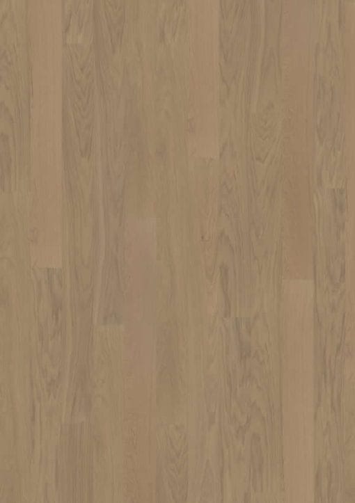 Oak Floor