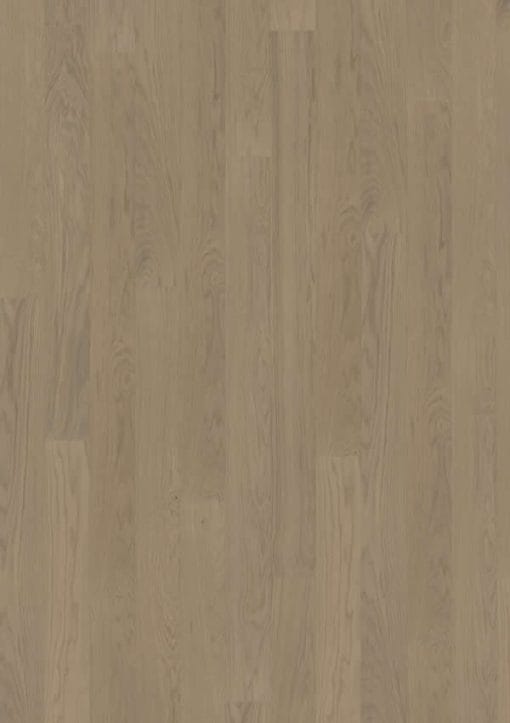 Driftwood main
