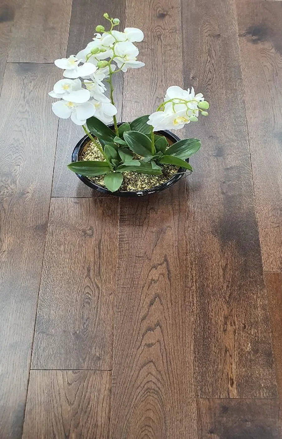 oak belfort