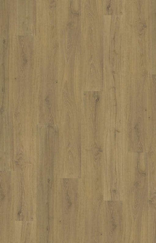 Foxall tiles floors